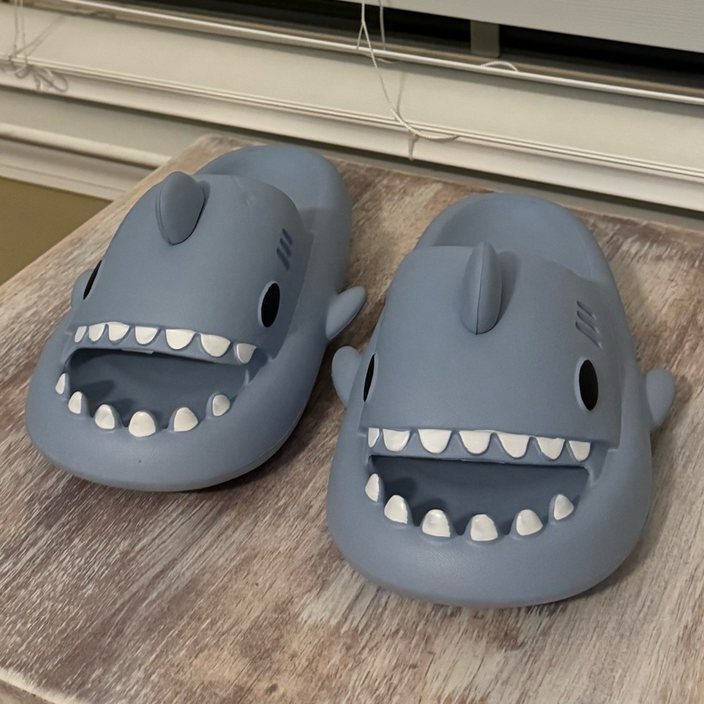 Blue Shark Slides